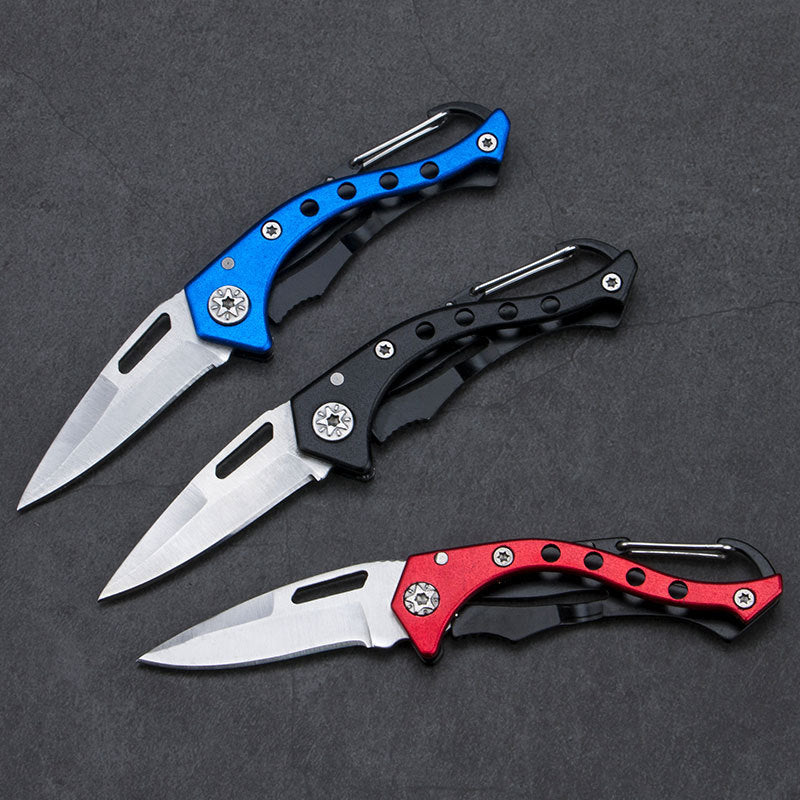 Stainless Steel Small Folding Knife.