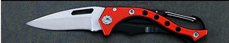 Stainless Steel Small Folding Knife.