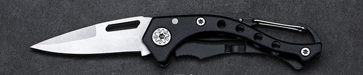 Stainless Steel Small Folding Knife.